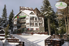 Vila Evergreen Predeal